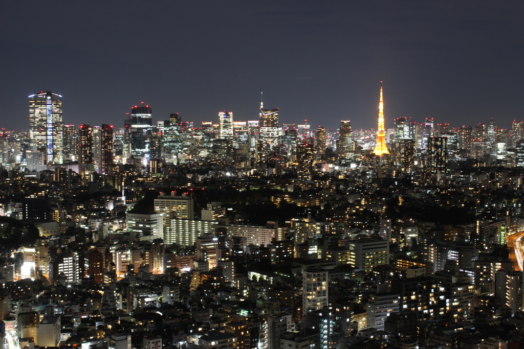 夜景