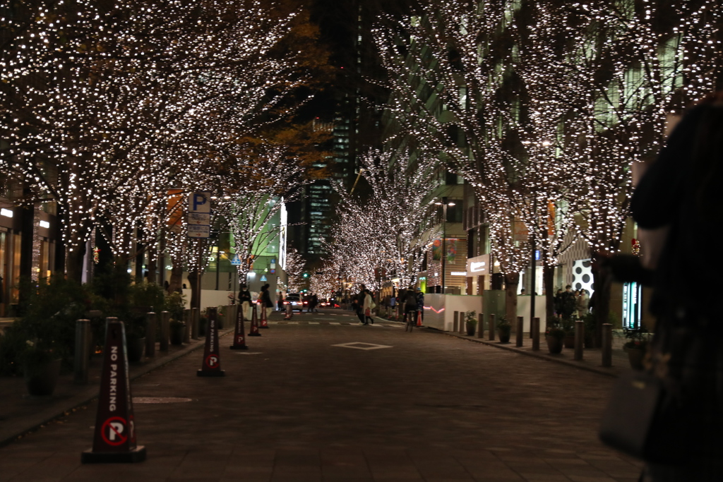 丸ノ内光のページェント