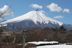 富士山と鷹.b