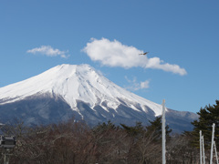 富士山と鷹.a