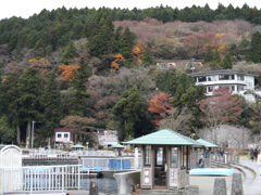 秋の芦ノ湖