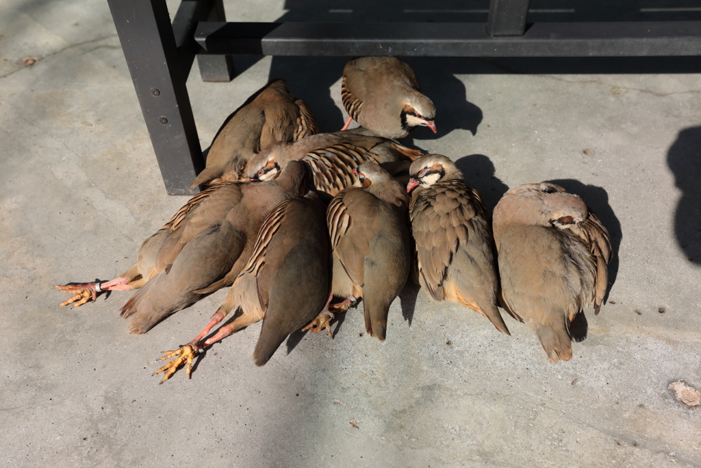 ぐだぐだ・・・