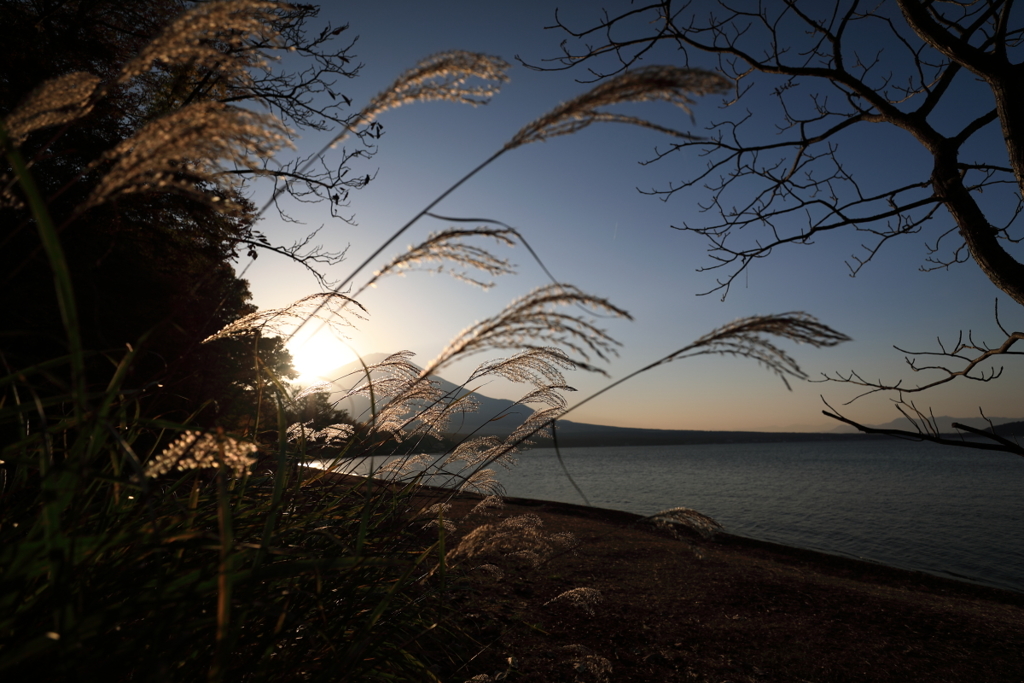 山中湖からの富士山