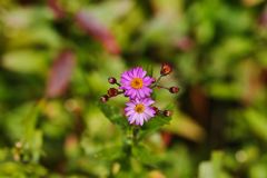 SDIM0904