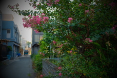とある路地