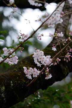 静かにたたずむ