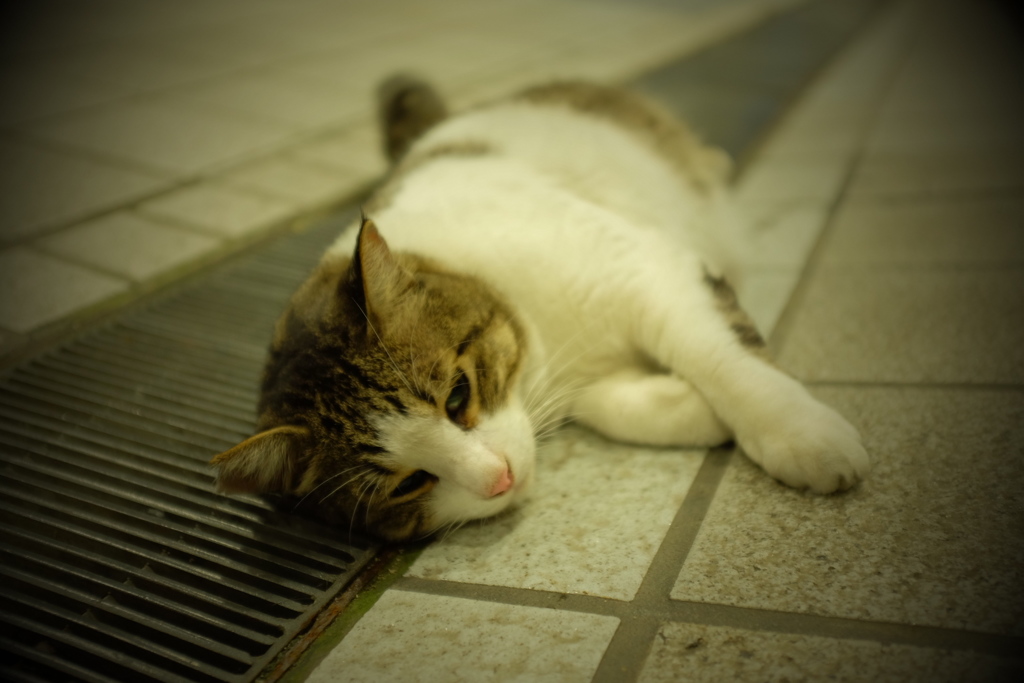 だれかぁ～(^_^;)