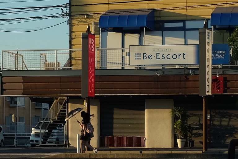 夏風に向かう