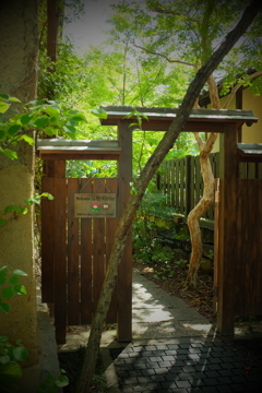 いざ！たんけ～ん♪