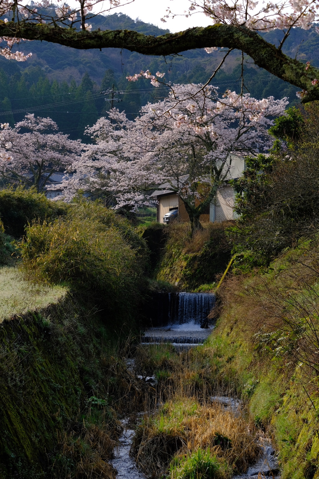 山奥にて