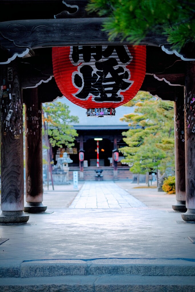 清い道
