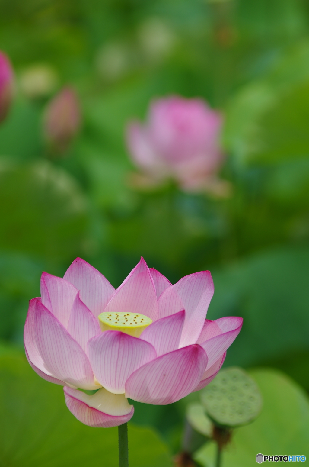 夏間近