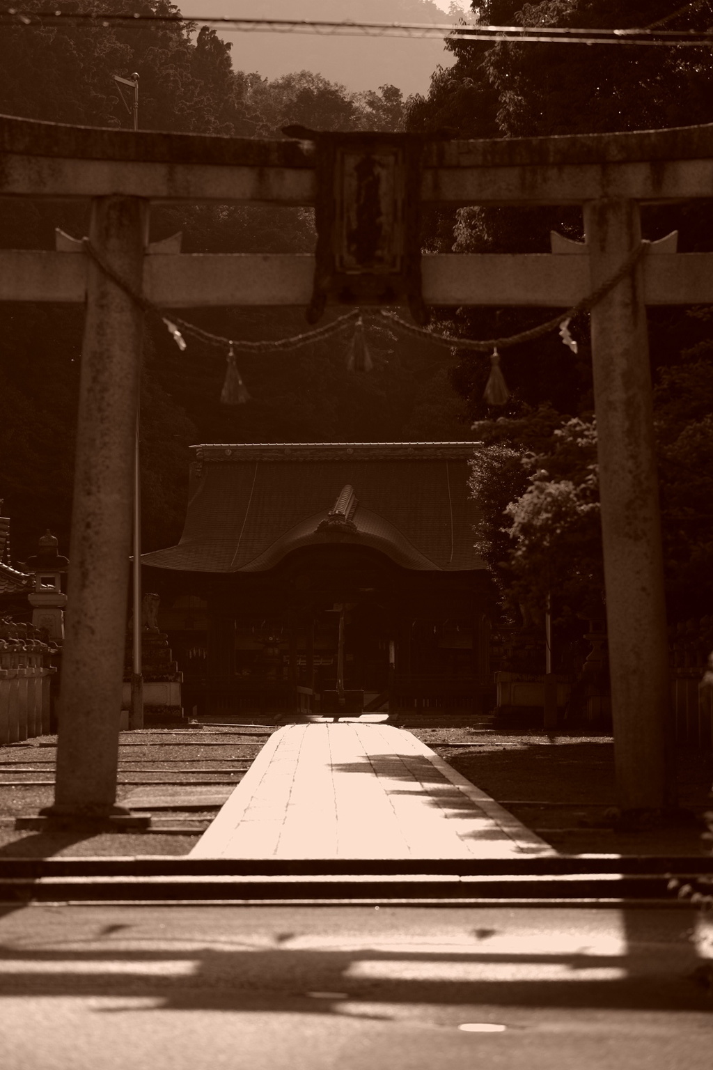 光の道
