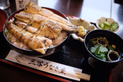 白焼きうなぎ