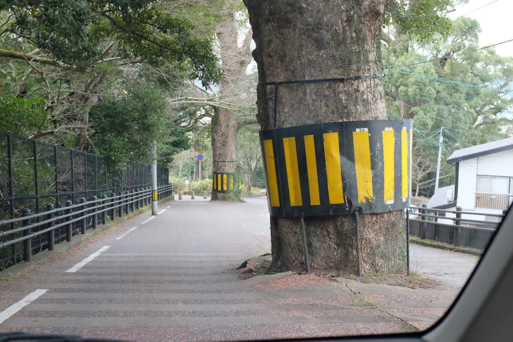 道のどまんなかに？