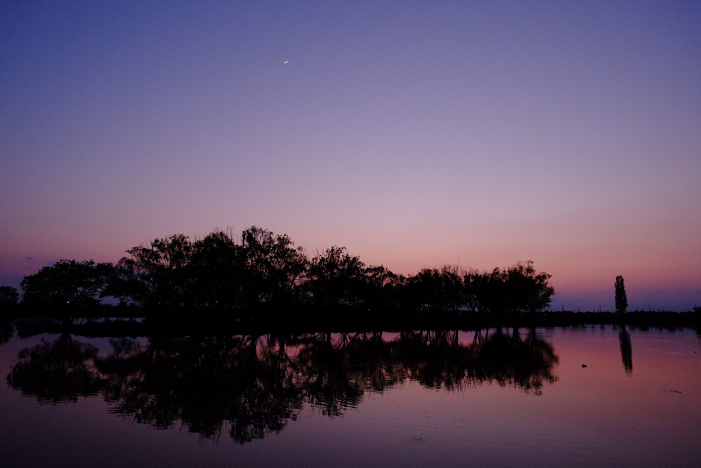 三日月みっけ♪