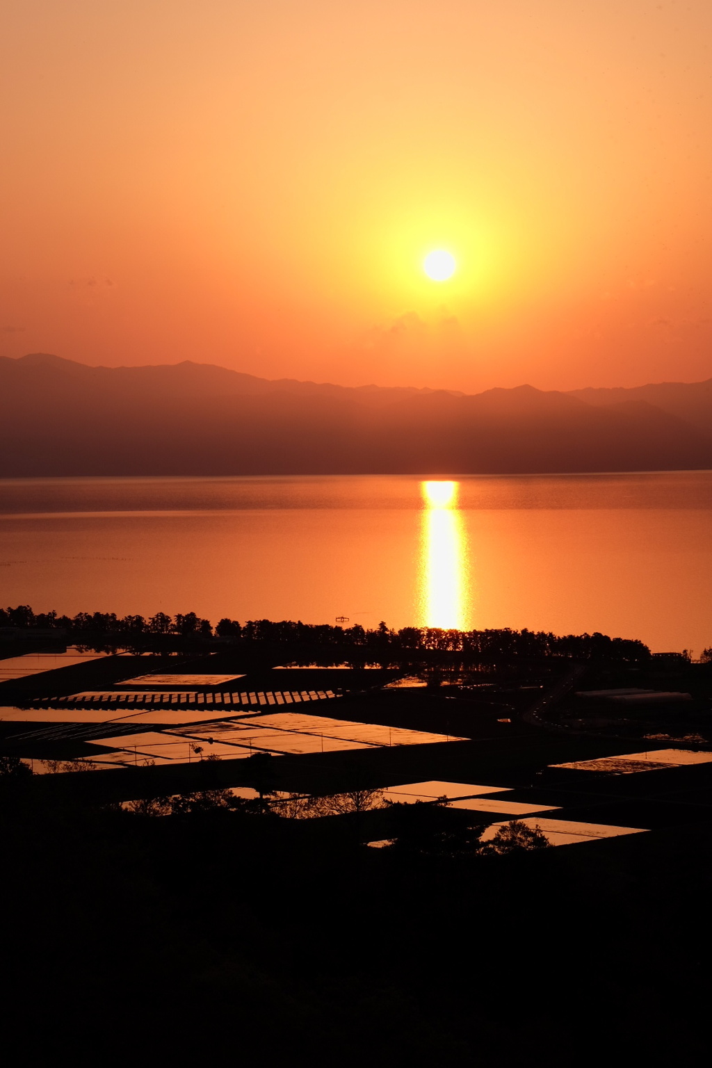 夕照
