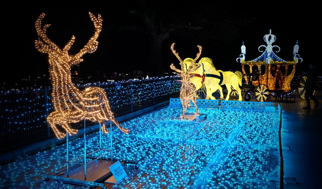 闇夜を駆ける