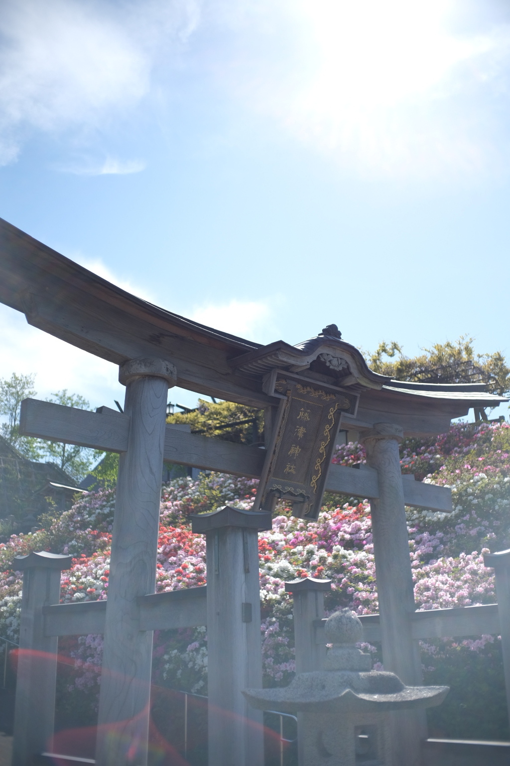 つつじ神社