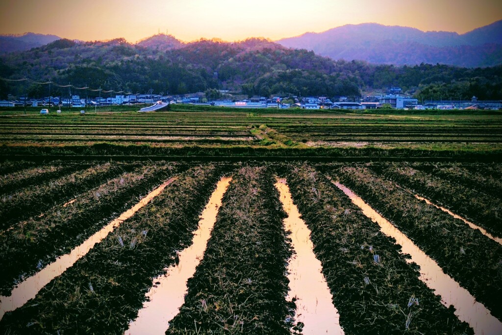 夕暮れライン