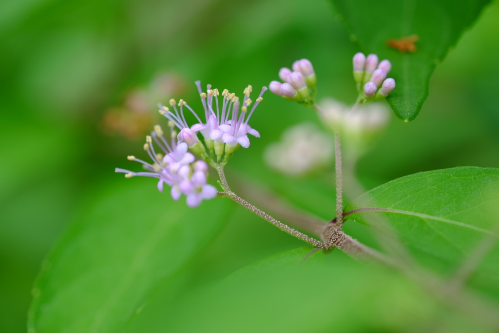ここにいるよ♪