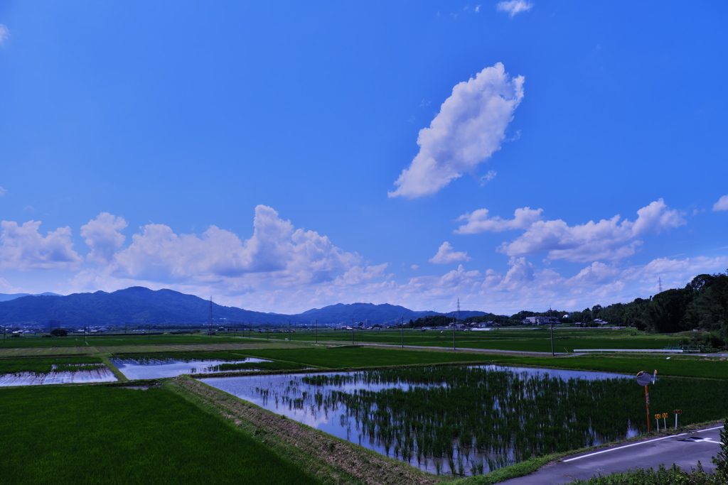 青空