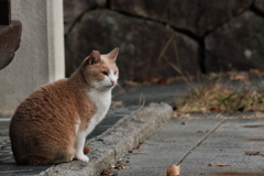 佇む