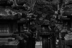 春日の灯篭