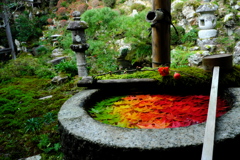 楊谷寺にて