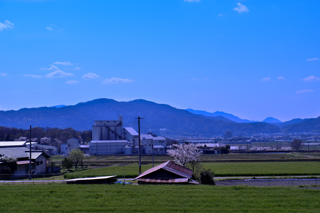 青空