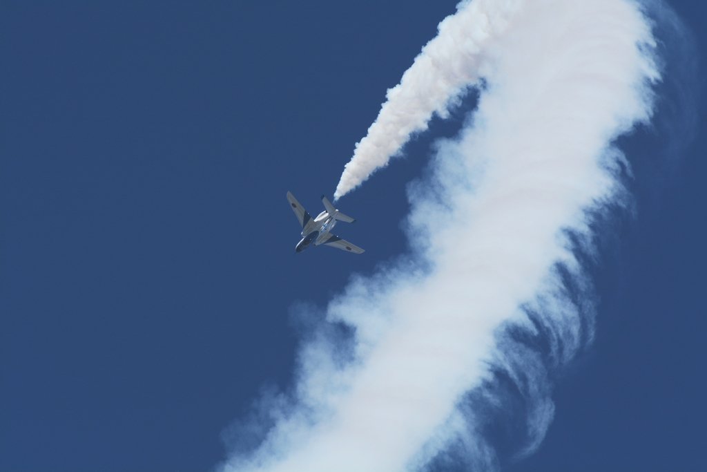 DSC_5256