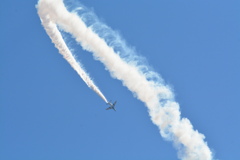 DSC_7306