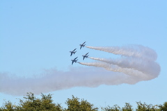 DSC_7207