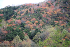 日光　山王林道の紅葉