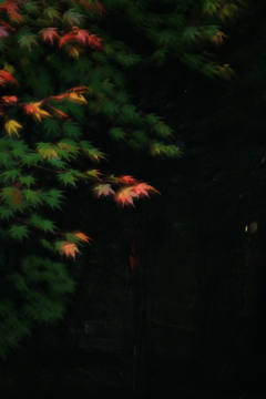 幻想