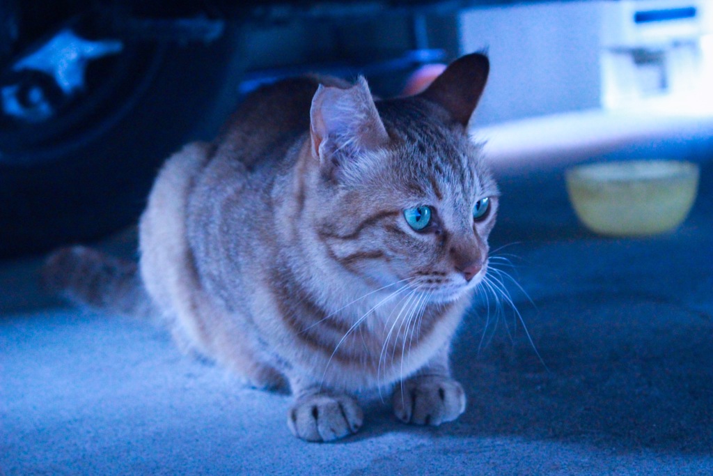 仲良くなりたい予感。