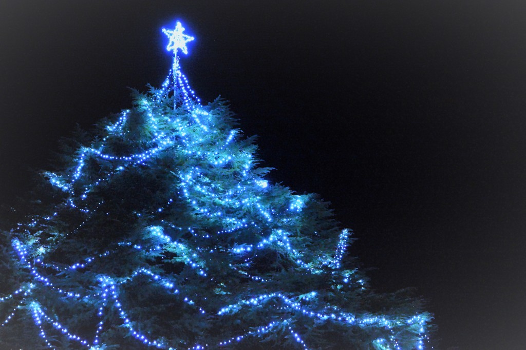 Happy Merry Christmas