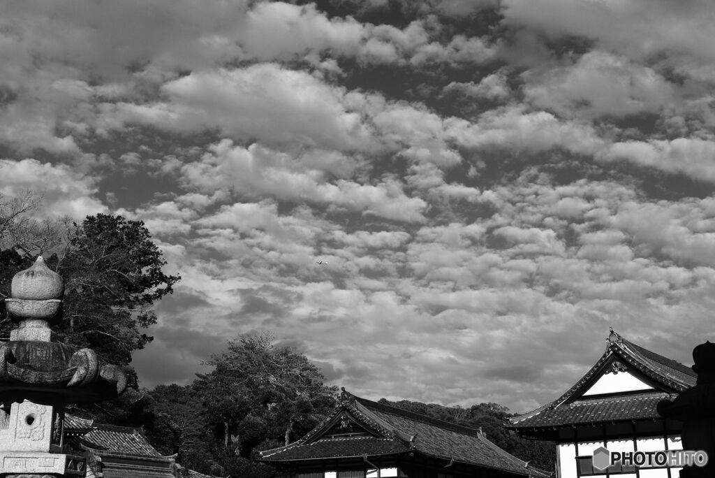 成田の秋空