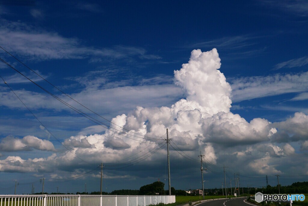 錦雲