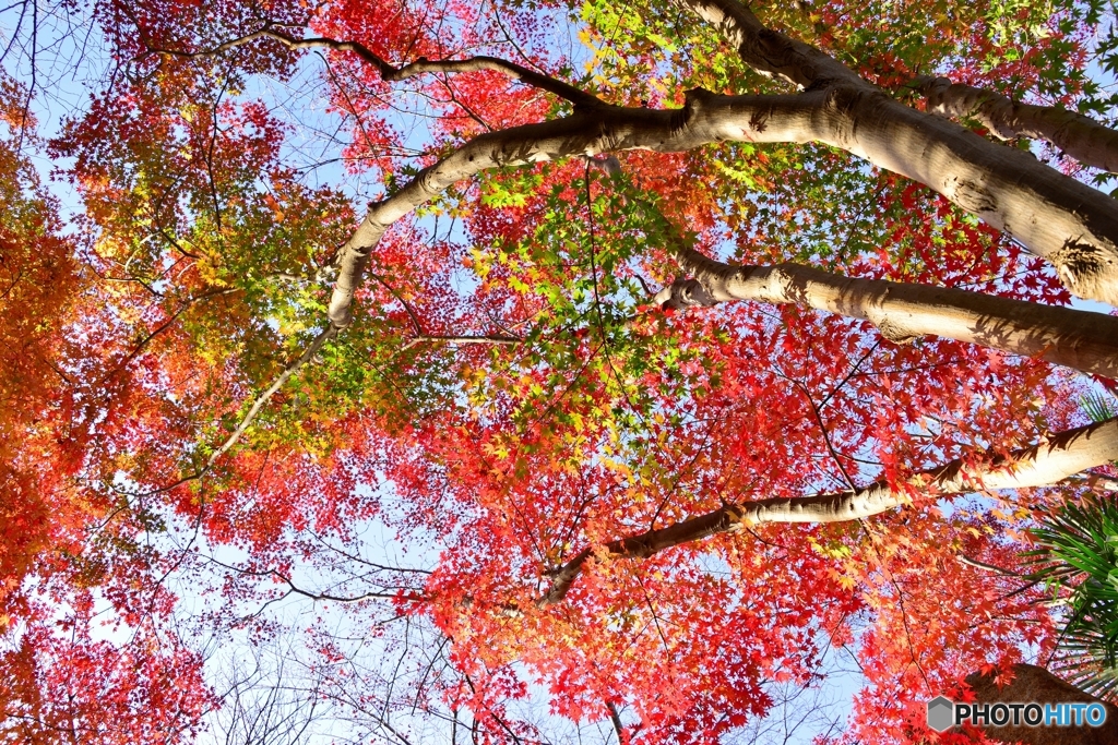 生彩の空