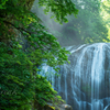 新緑の関山大滝　その２