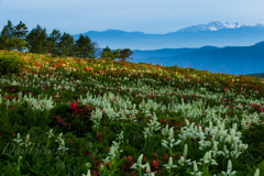 天空の花園