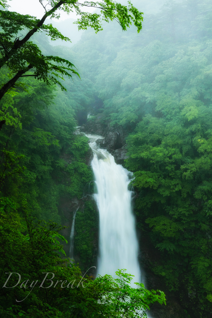 雨の秋保大滝