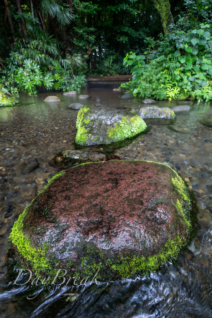 湧水散策