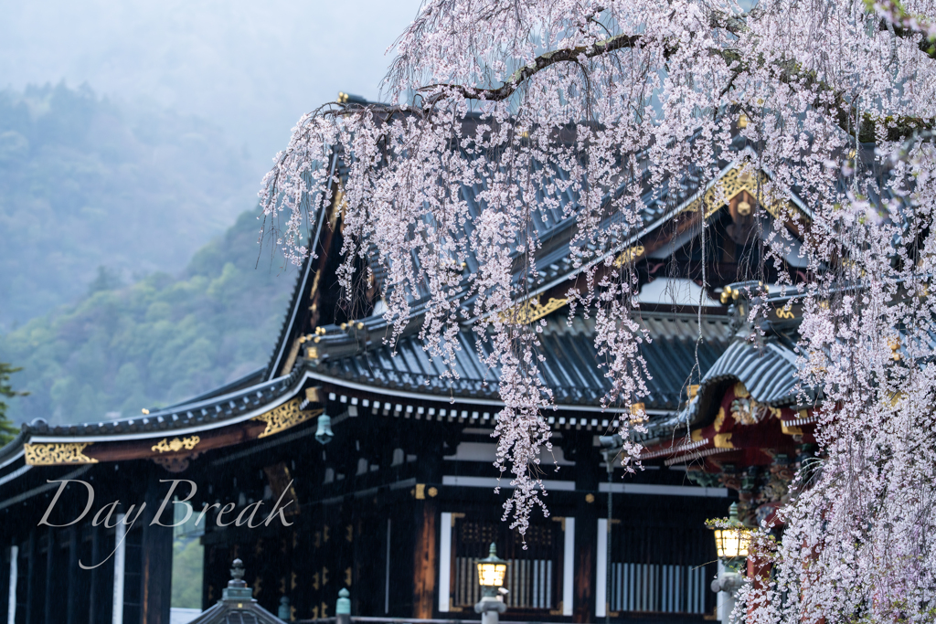 雨の久遠寺　その１