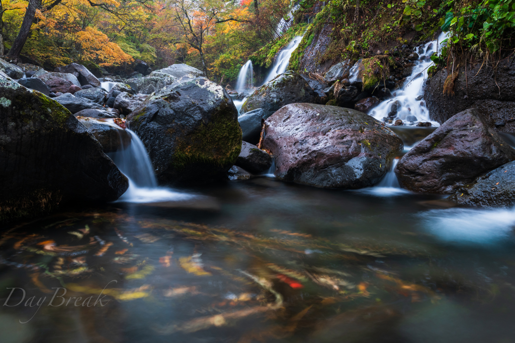 吐竜の滝　秋景