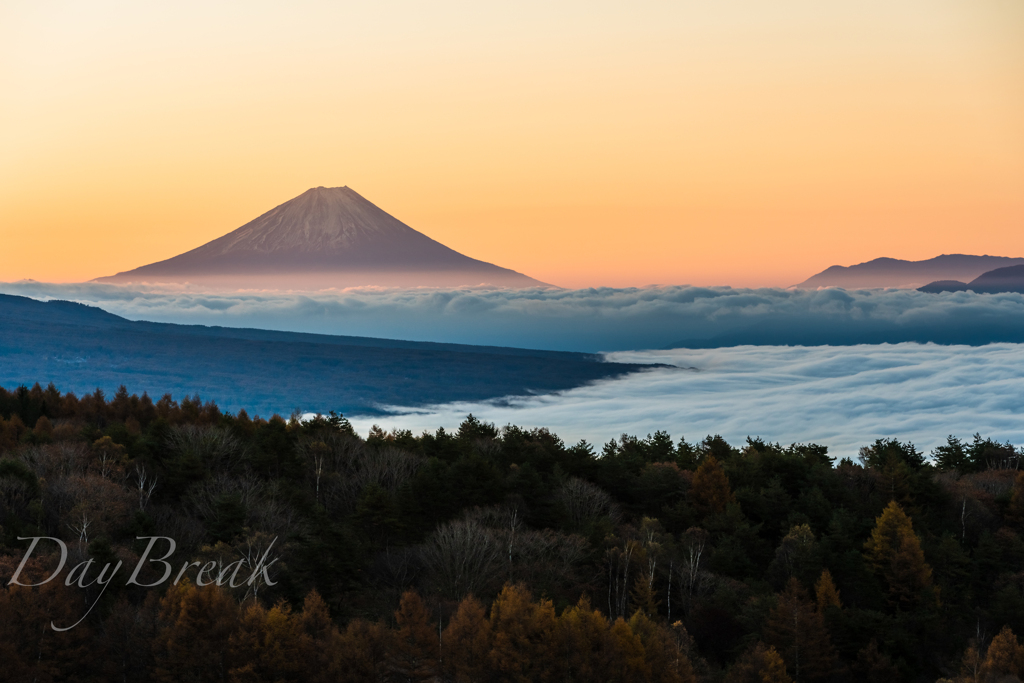 晩秋の朝