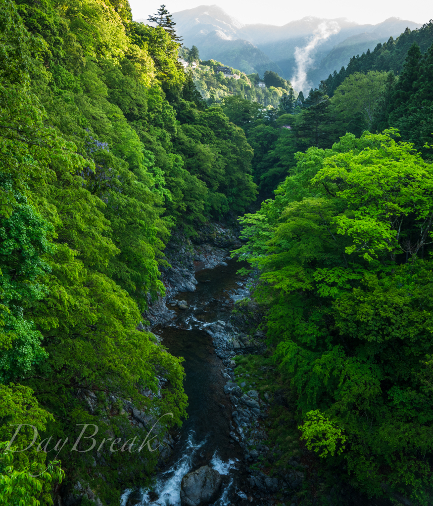 里山の朝