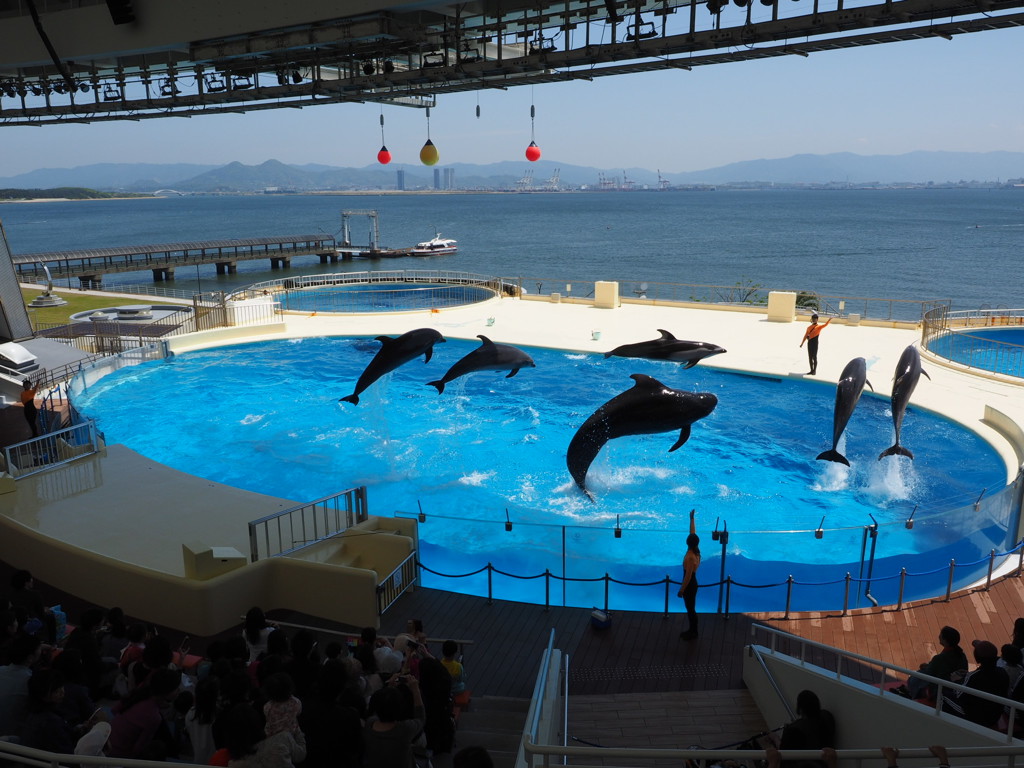 海の中道マリンワールド
