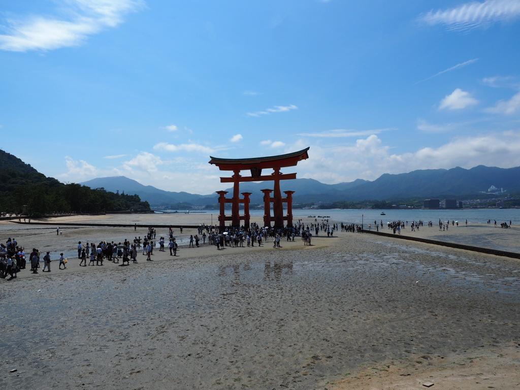 厳島神社大鳥居2